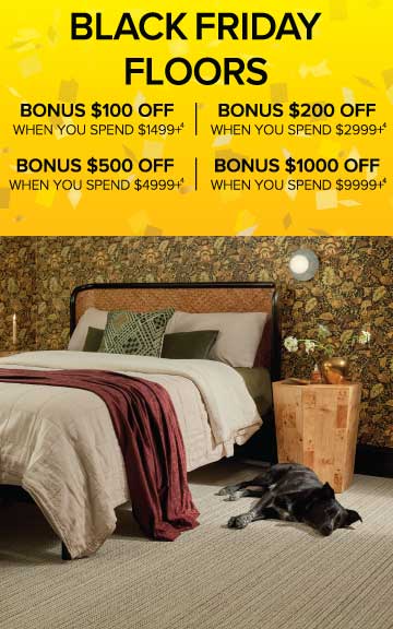 Sale Offer Disclaimer