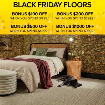 Sale Offer Disclaimer