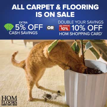 Sale Offer Disclaimer