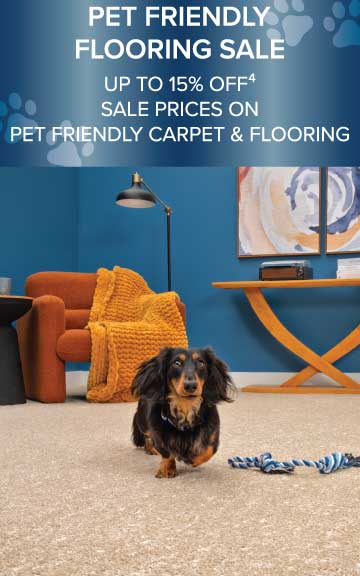 Sale Offer Disclaimer