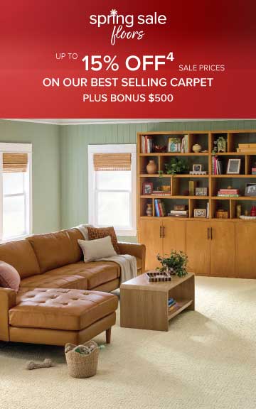 Sale Offer Disclaimer