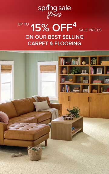 Sale Offer Disclaimer