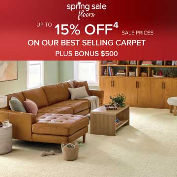 Sale Offer Disclaimer